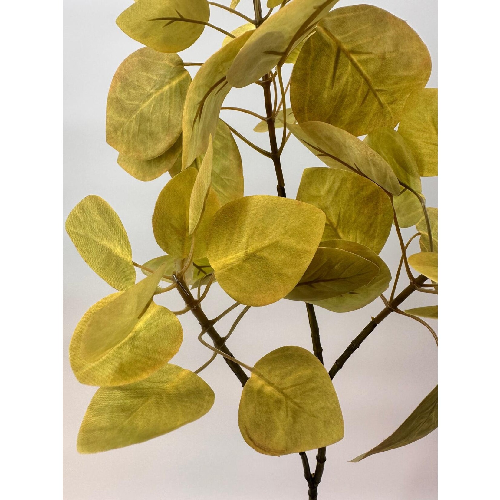 BLADTAK TROMPET BOOM  | GEEL GROEN | 70 CM