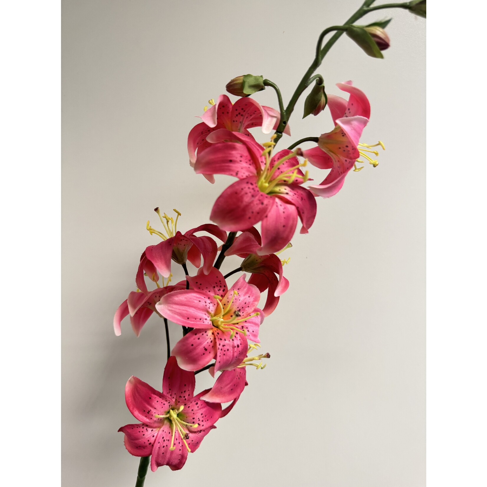 TURKISH LILY | FUCHSIA | 98 CM