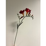 FREESIA| FUCHSIA | 65 CM