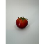 TOMAAT | ROOD