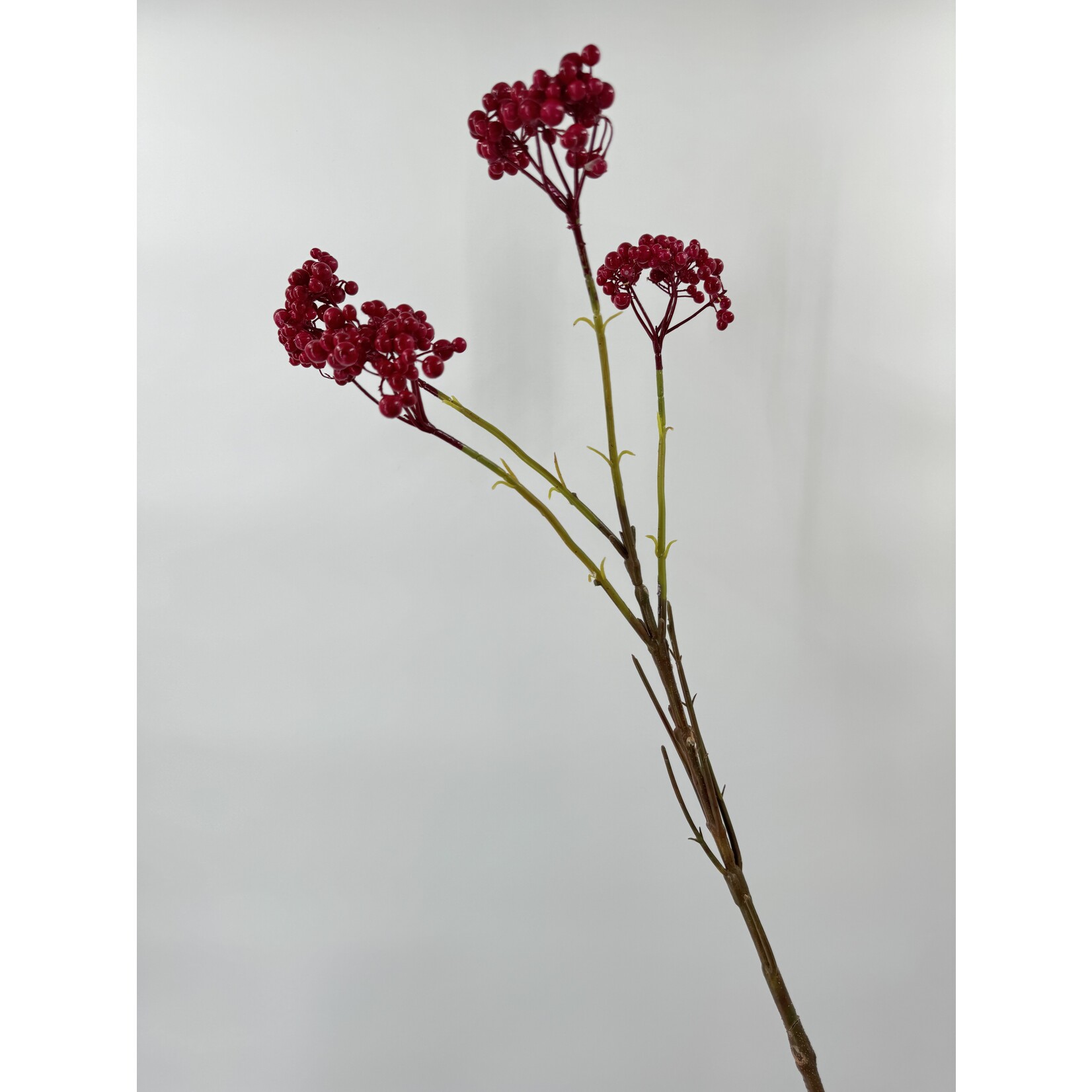 BESSENTAK | ROOD |  87 CM
