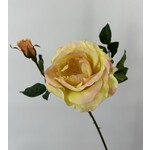 ROSE | YELLOW PINK | 54 CM