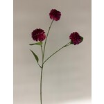 DAHLIA  | FUCHSIA |  68 CM