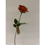 ROOS | ORANGE  | 60 CM