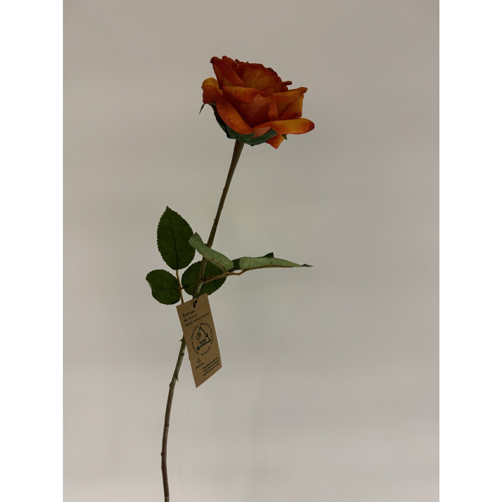 ROOS | ORANGE  | 60 CM