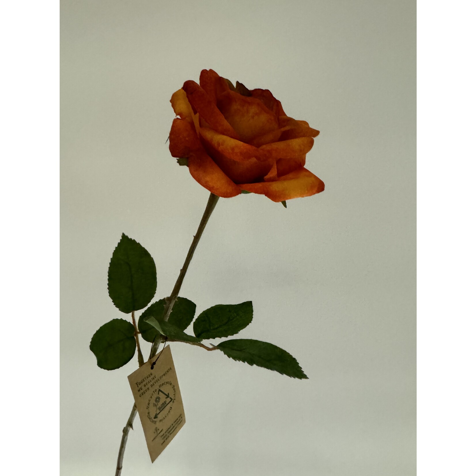 ROOS | ORANGE  | 60 CM