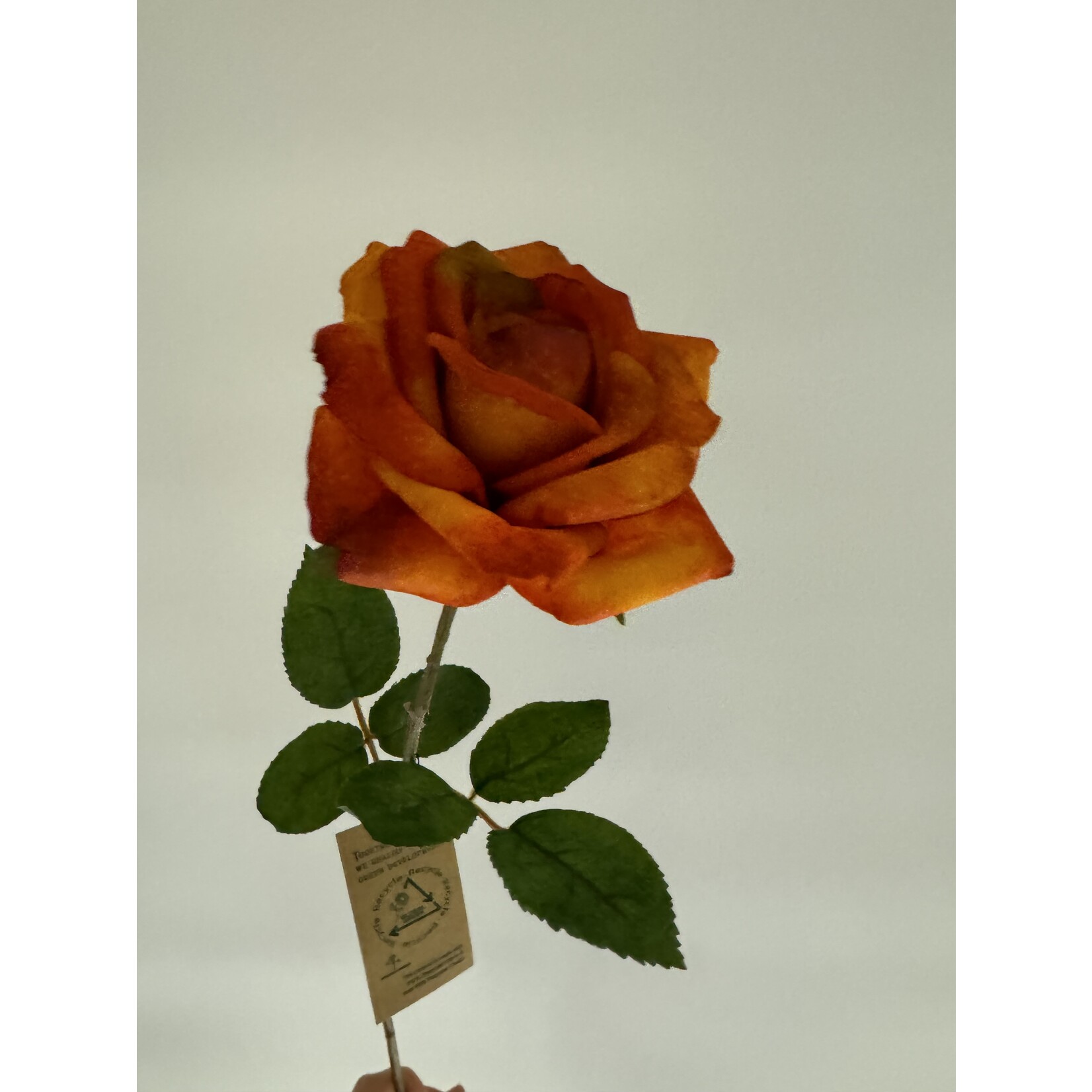 ROOS | ORANGE  | 60 CM