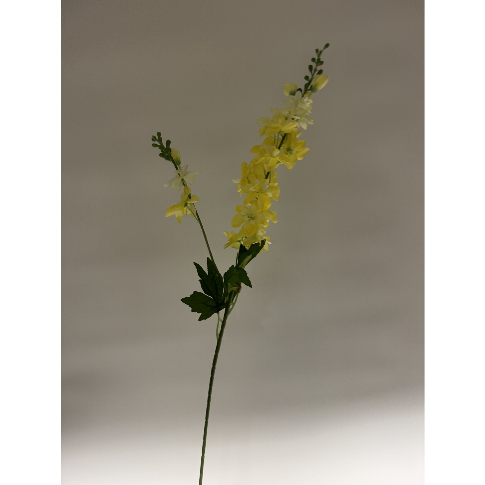 DELPHINIUM | YELLOW | 86 CM
