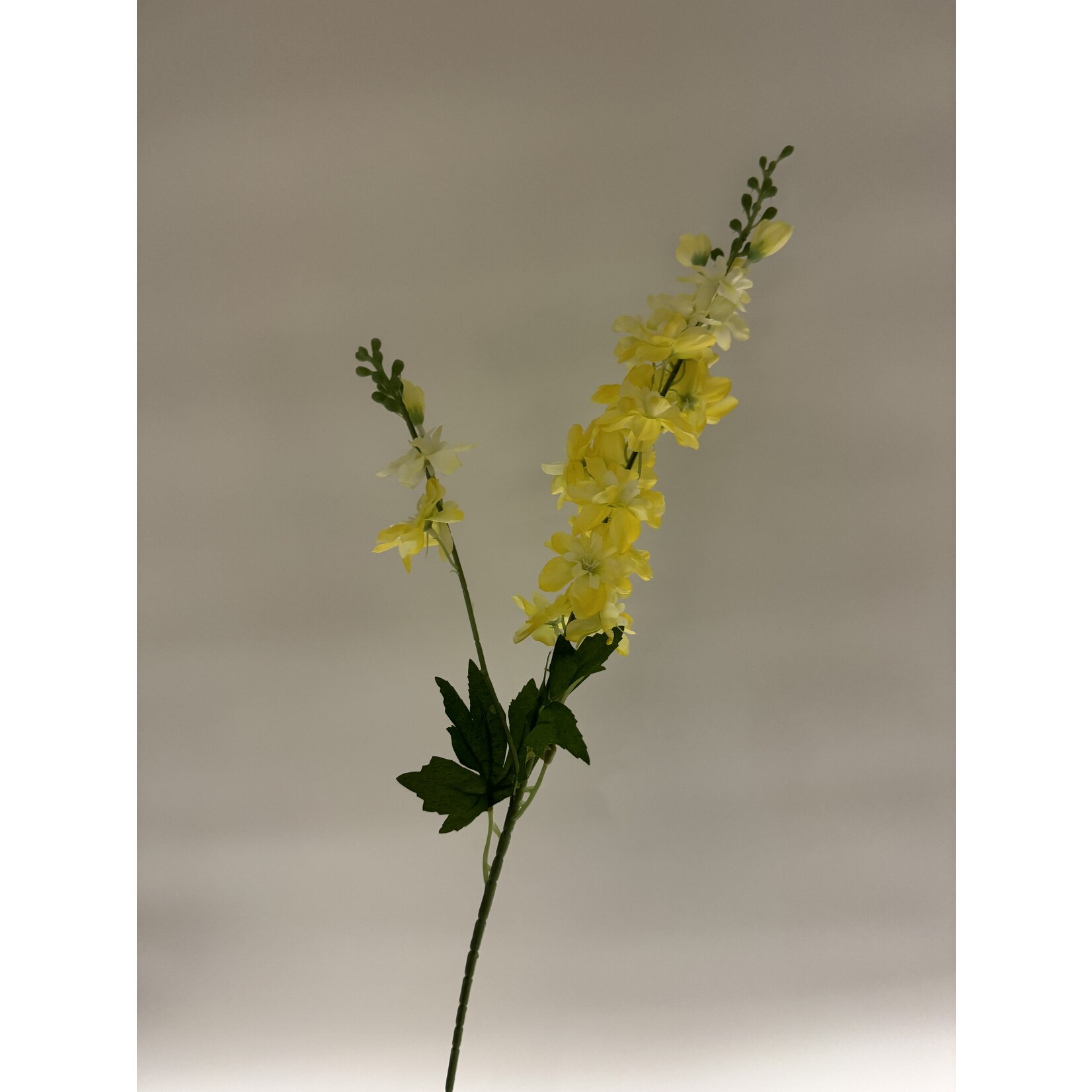 DELPHINIUM | YELLOW | 86 CM