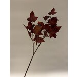 HERFST BLADTAK | BORDEAUX | 67 CM