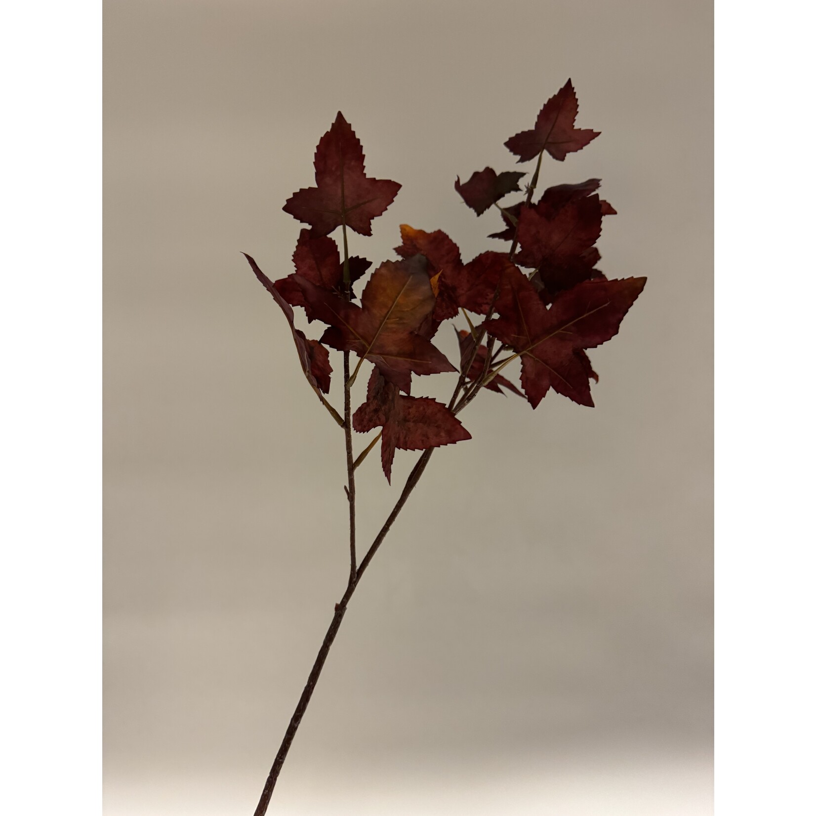 HERFST BLADTAK | BORDEAUX | 67 CM