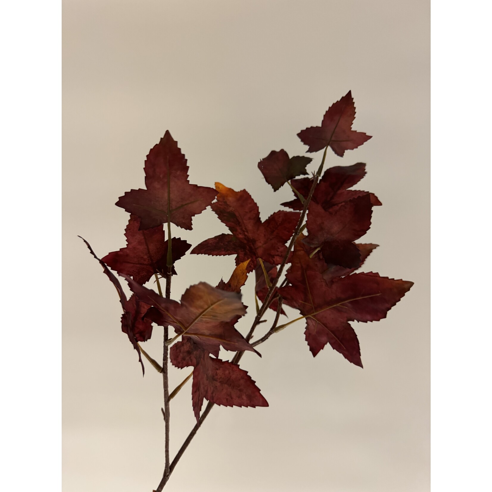 HERFST BLADTAK | BORDEAUX | 67 CM