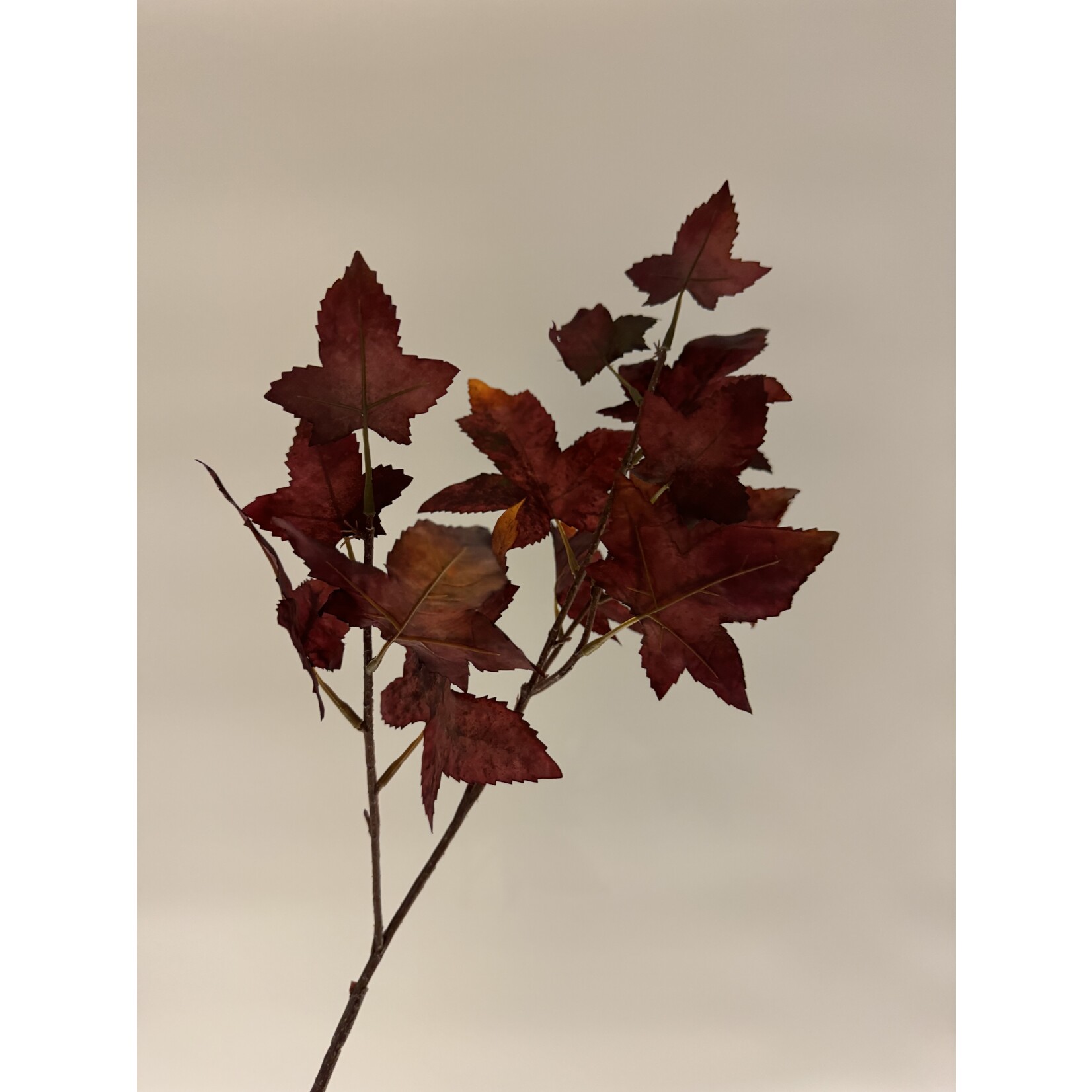 HERFST BLADTAK | BORDEAUX | 67 CM