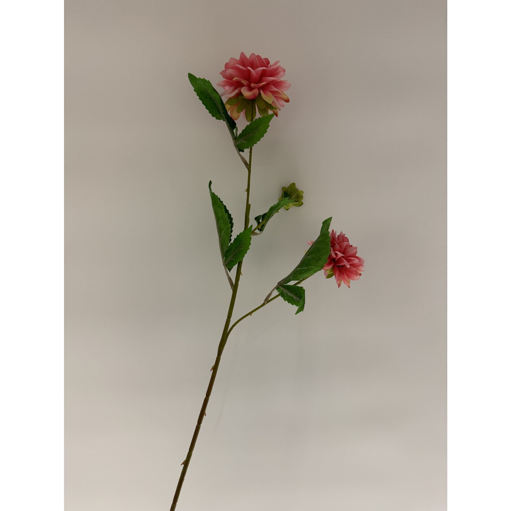 DAHLIA BRANCH |PINK |  68 CM