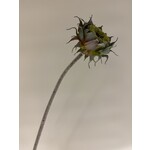 ZONNEBLOEM IN KNOP | GEEL | 60 CM