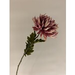 CHRYSANT | ROZE MAUVE | 62 CM