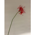 NERINE | FUCHSIA | 90 CM