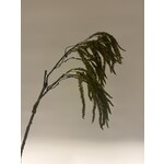 AMARANTHUS HANGEND | GROEN BRUIN | 45 CM