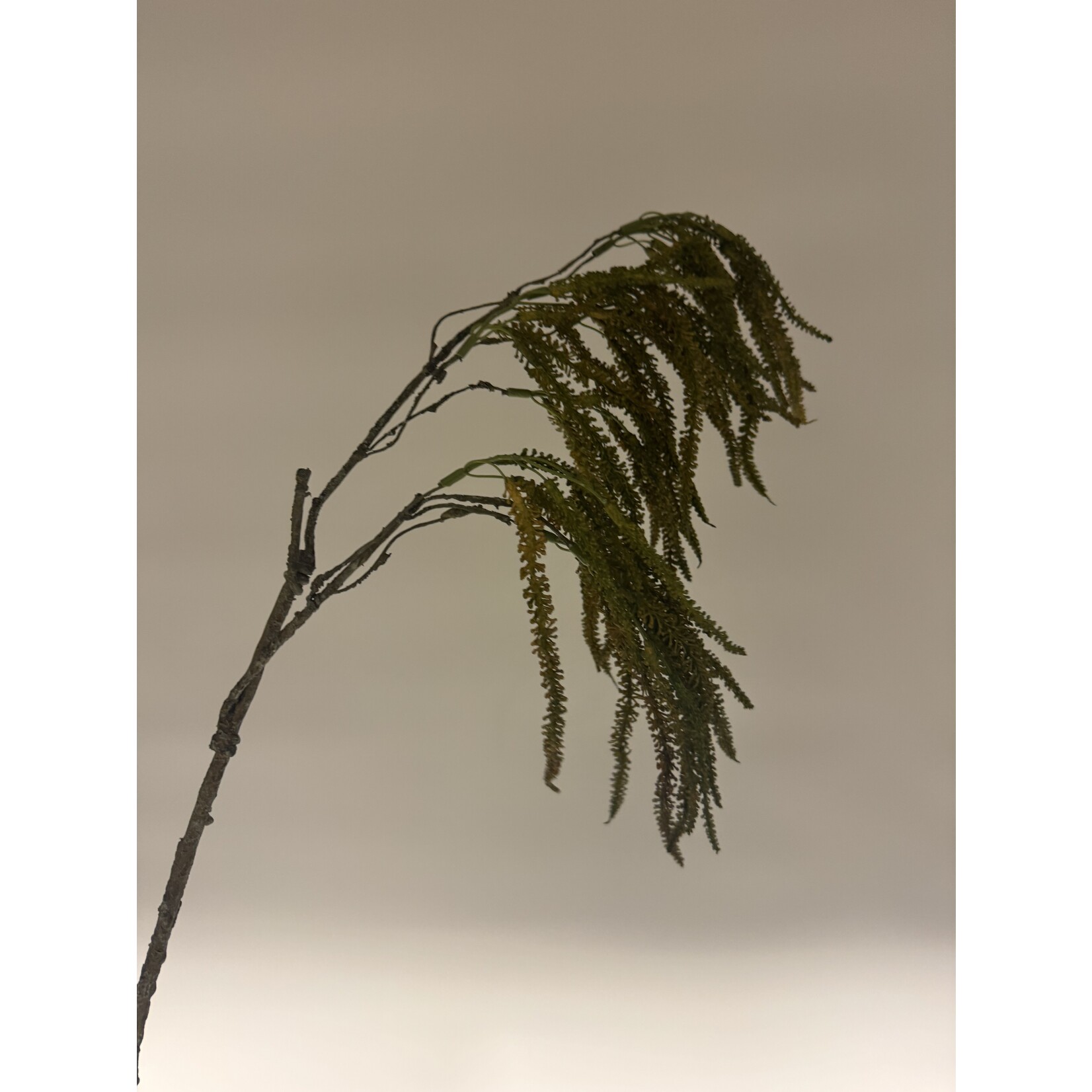 AMARANTHUS HANGEND | GROEN BRUIN | 45 CM