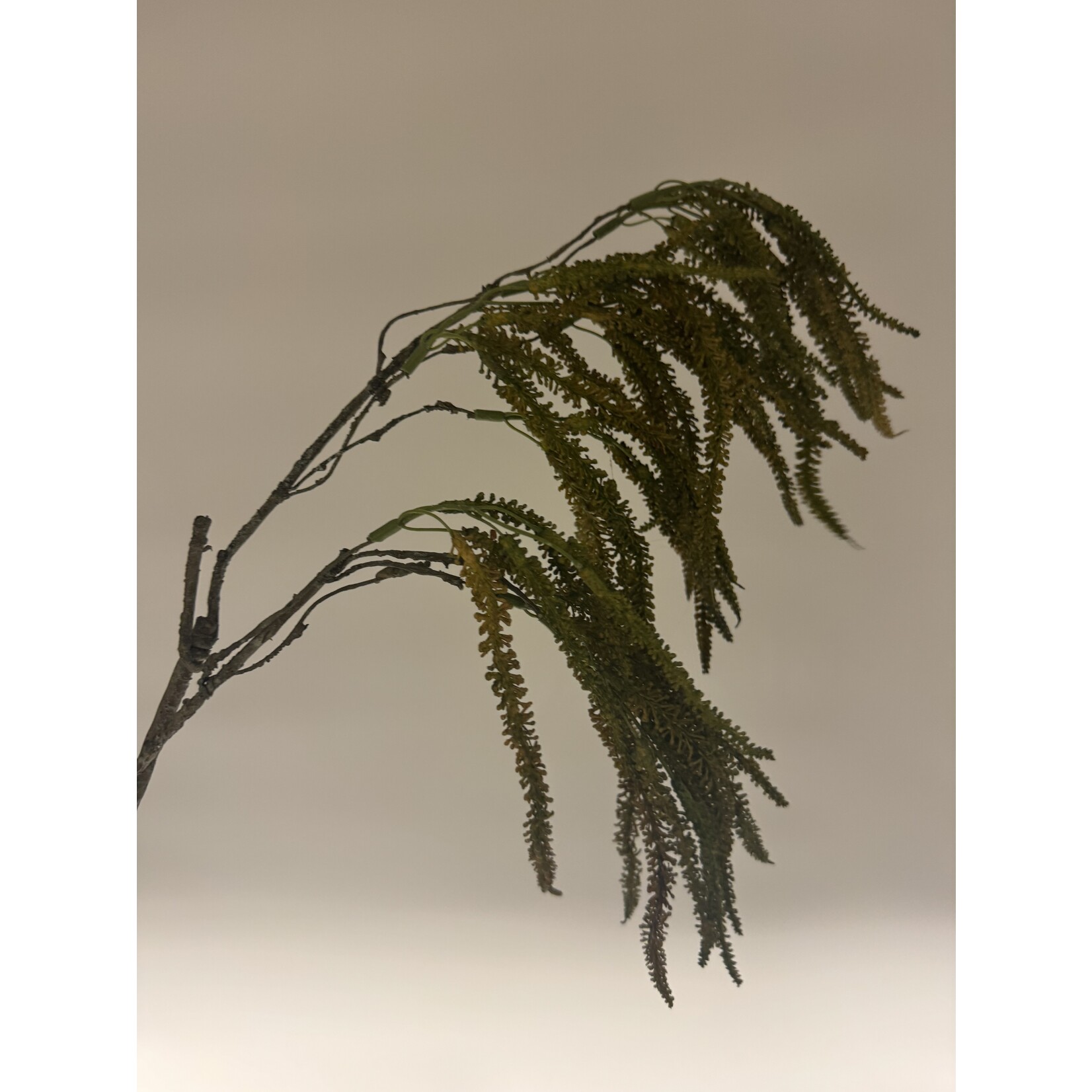 AMARANTHUS HANGEND | GROEN BRUIN | 45 CM