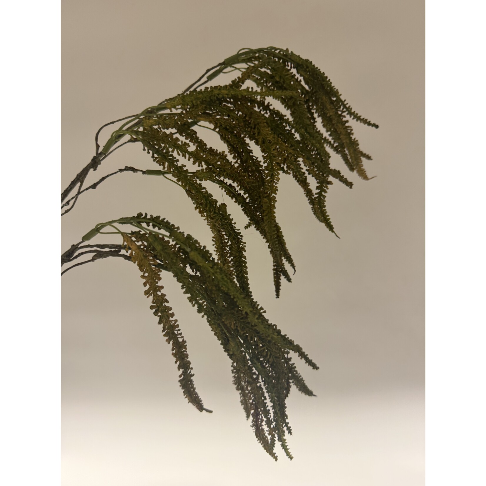 AMARANTHUS HANGEND | GROEN BRUIN | 45 CM