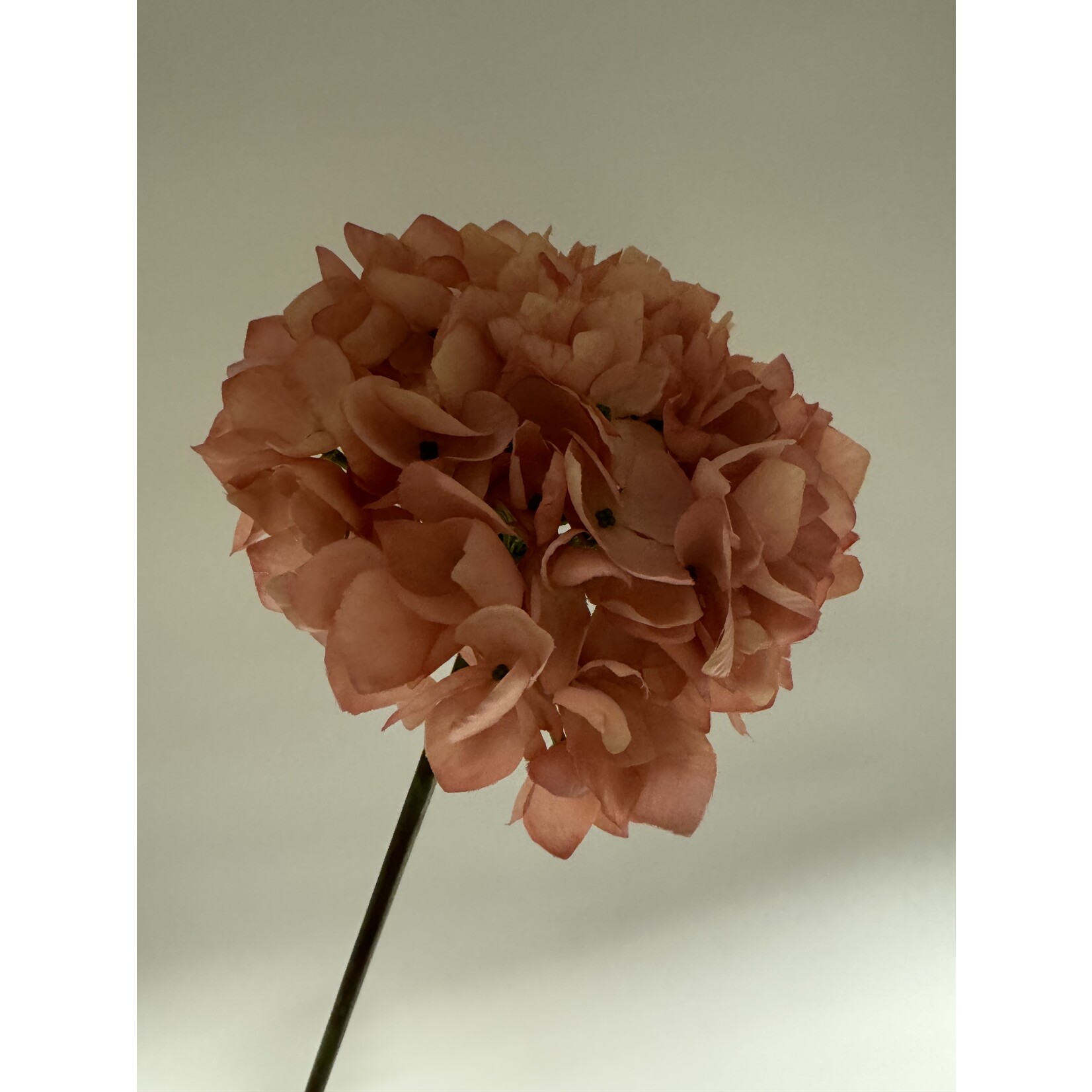 HYDRANGEA | SOFT  PINK| 50 CM