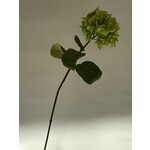 HYDRANGEA | GREEN | 80 CM
