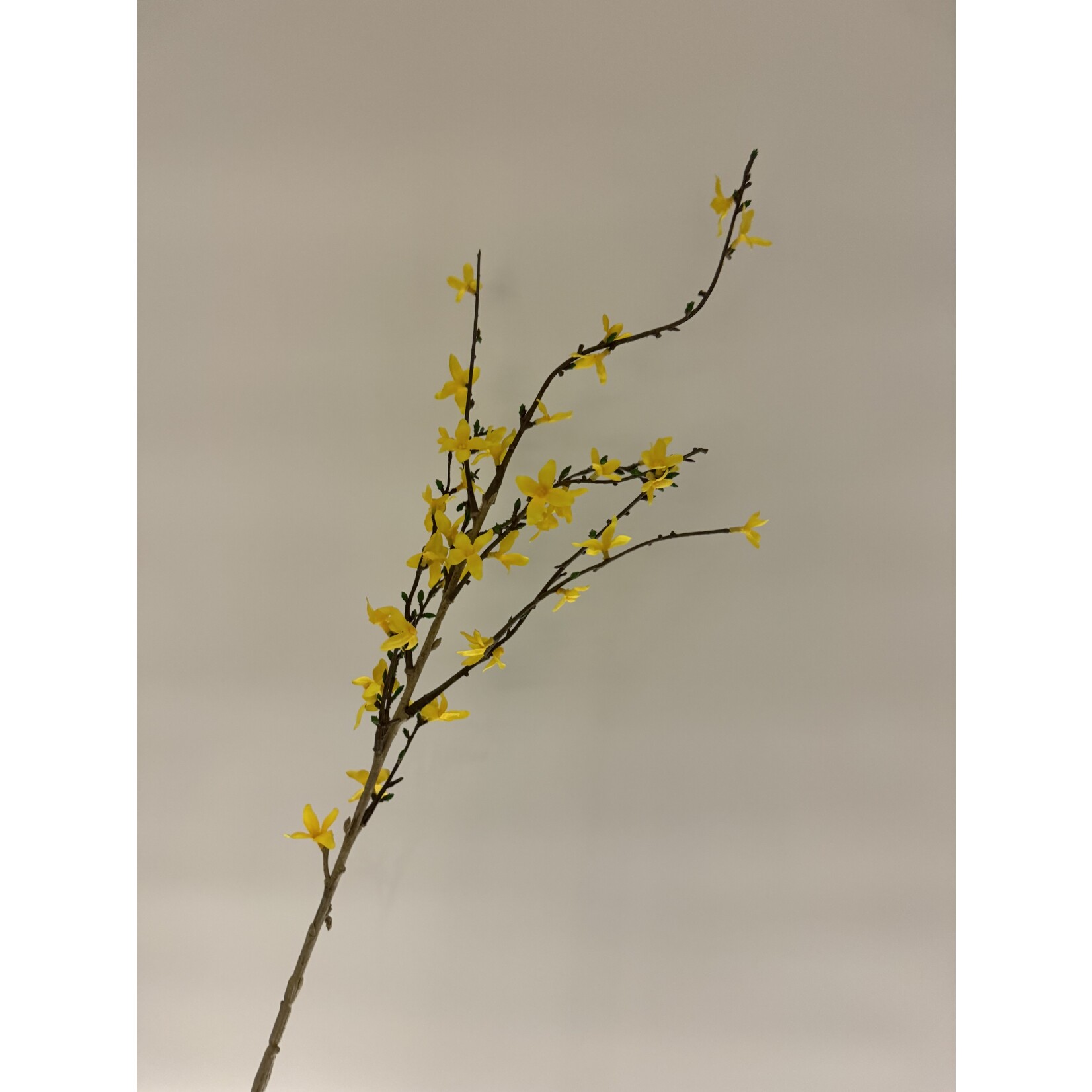 FORSYTHIA | GEEL | 88 CM