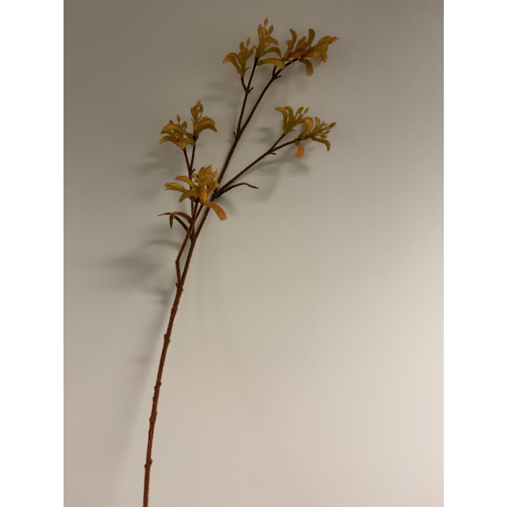 KANGAROEPOOT | GEEL | 76 CM