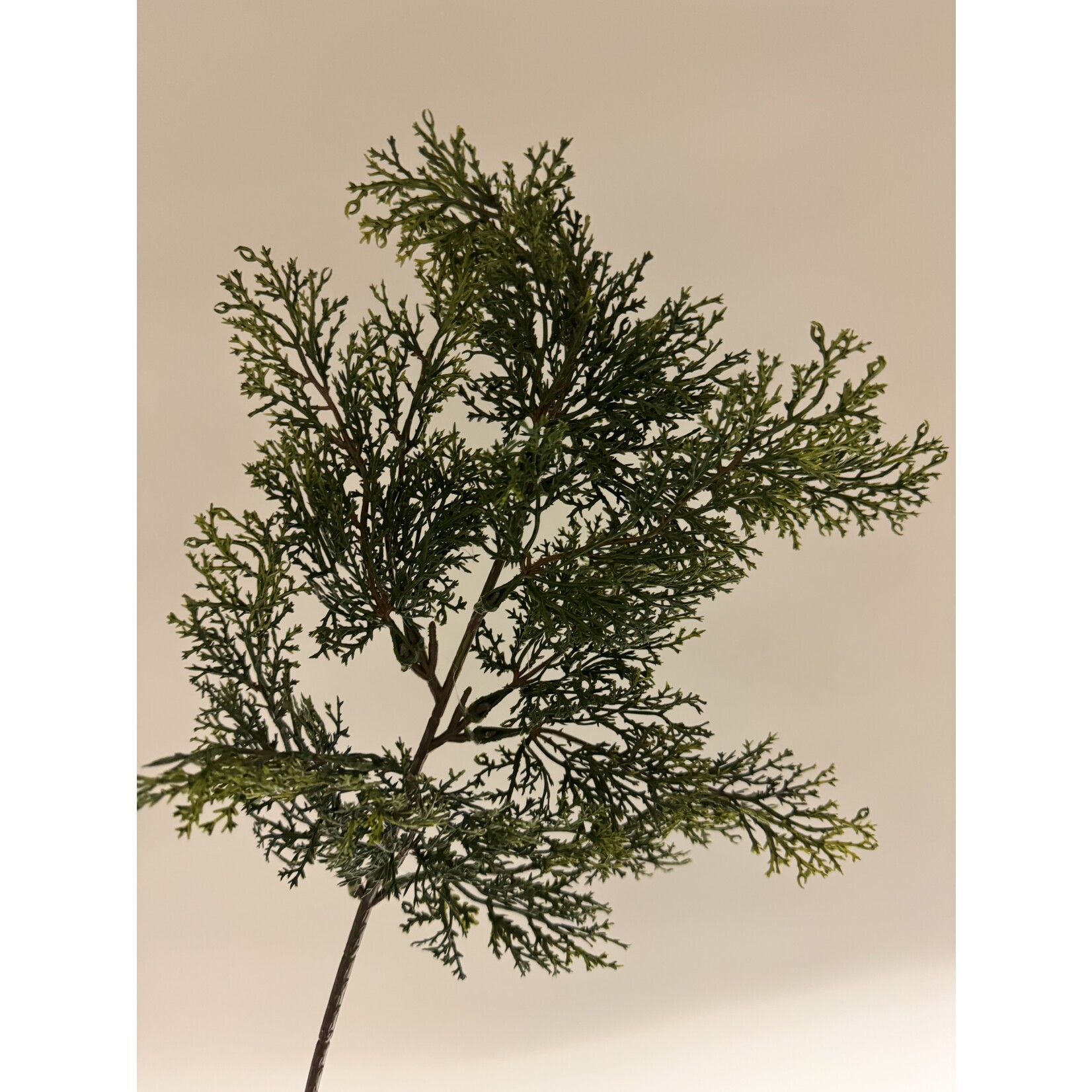 PINECONE BRANCH | GREEN | 52 CM