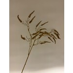 AMARANTHUS KERST | GOUD | 73 CM