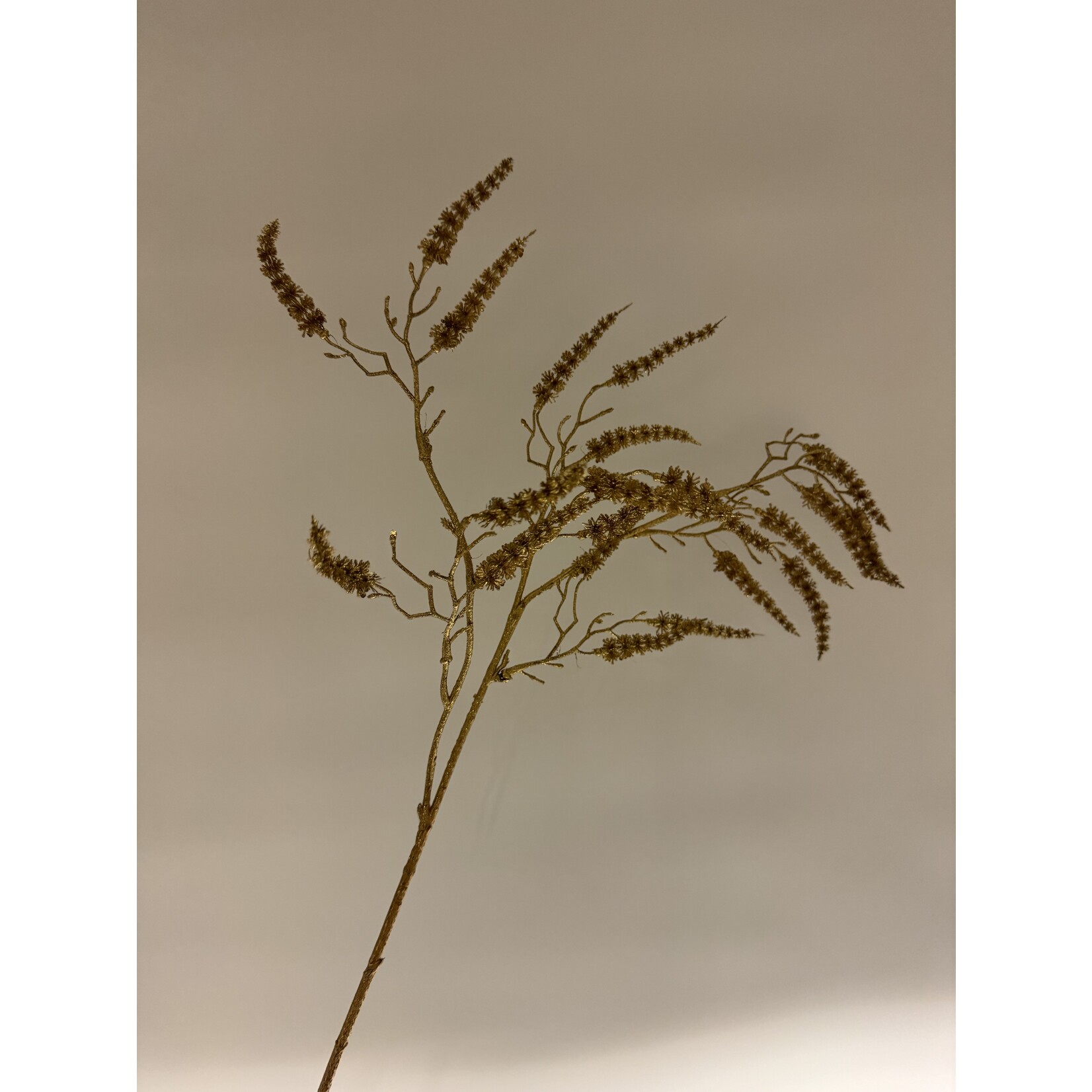 AMARANTHUS KERST | GOUD | 73 CM