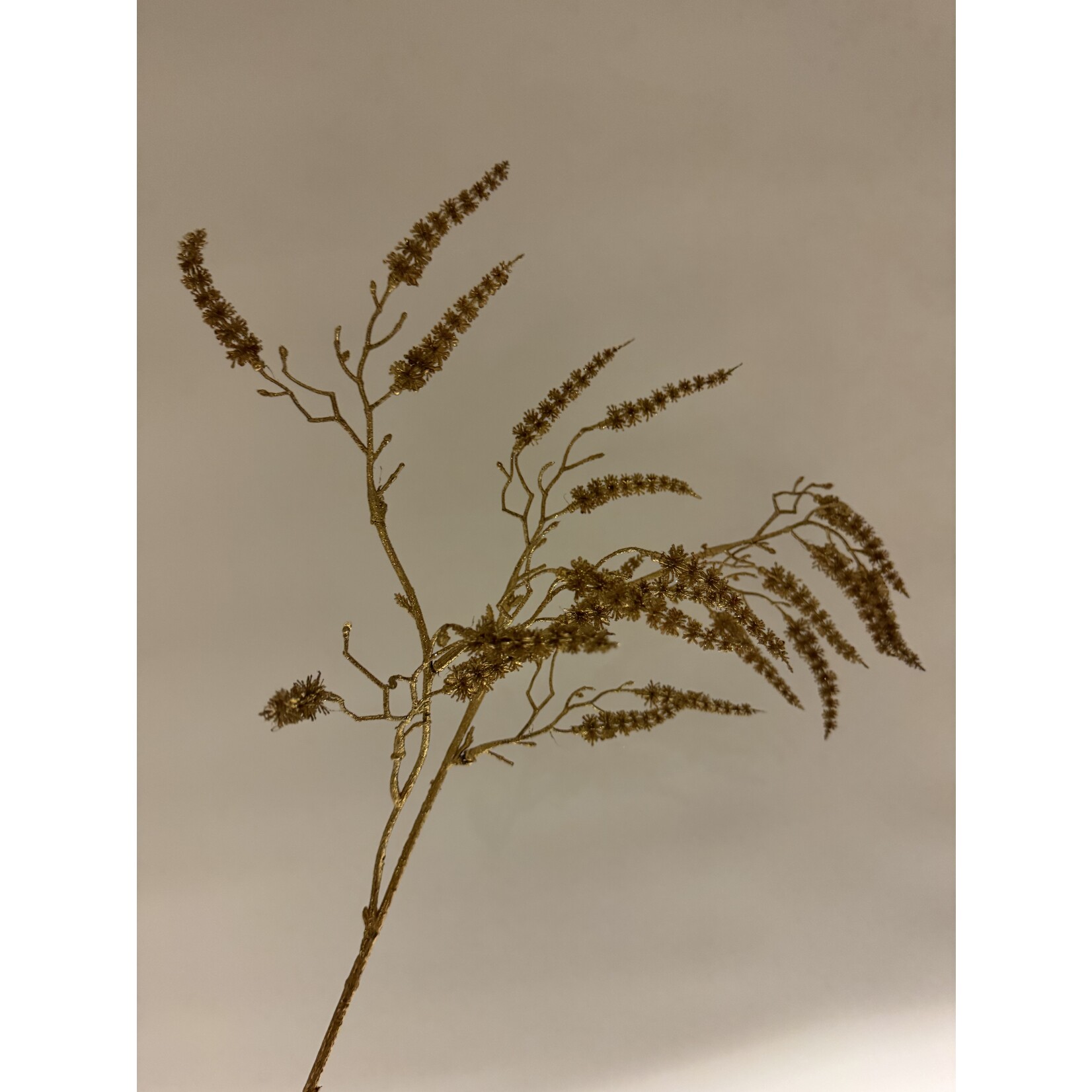 AMARANTHUS CHRISTMAS| GOLD| 73 CM