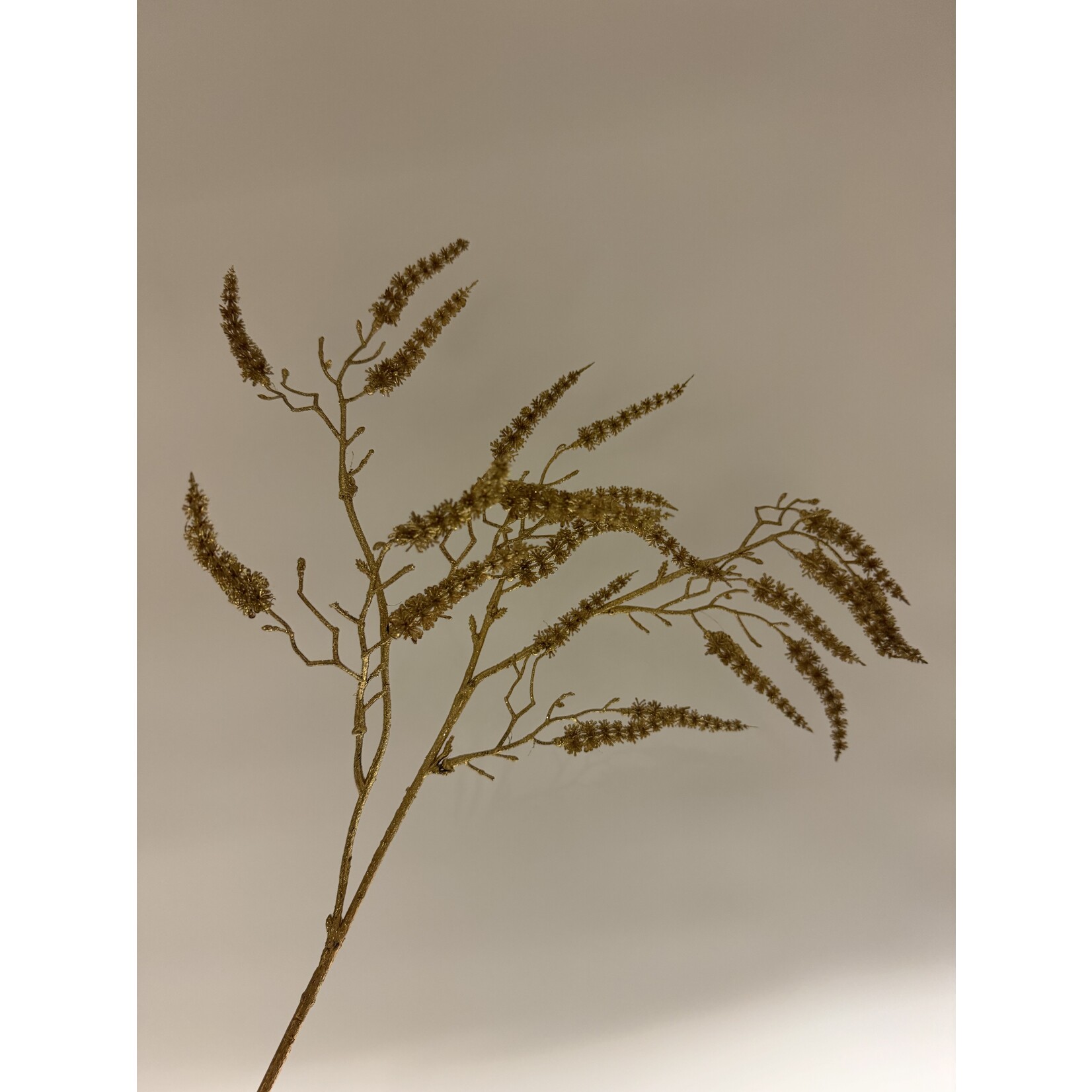 AMARANTHUS KERST | GOUD | 73 CM