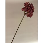 HYDRANGEA  PLUM | MAUVE | 78 CM
