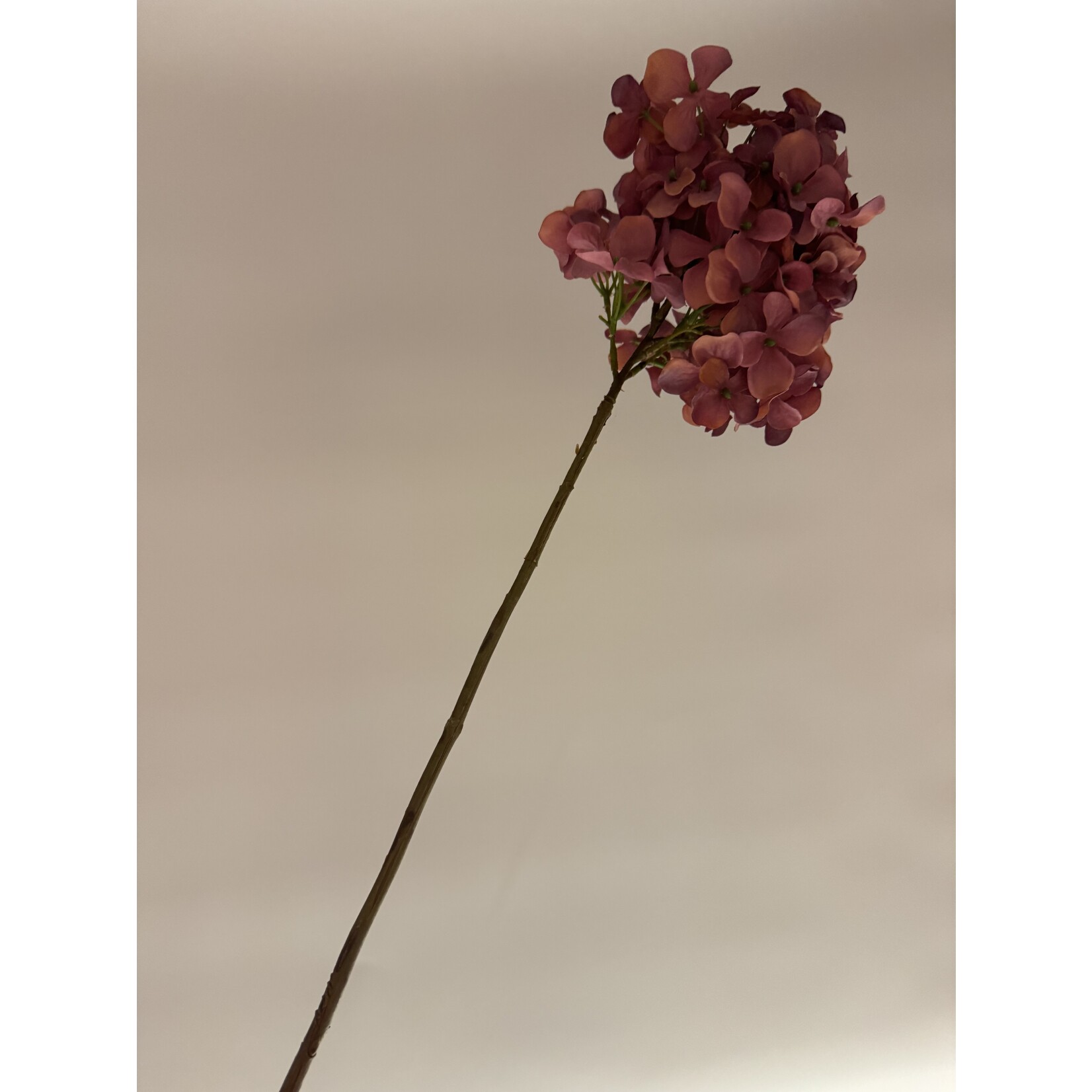 HYDRANGEA  PLUM | MAUVE | 78 CM