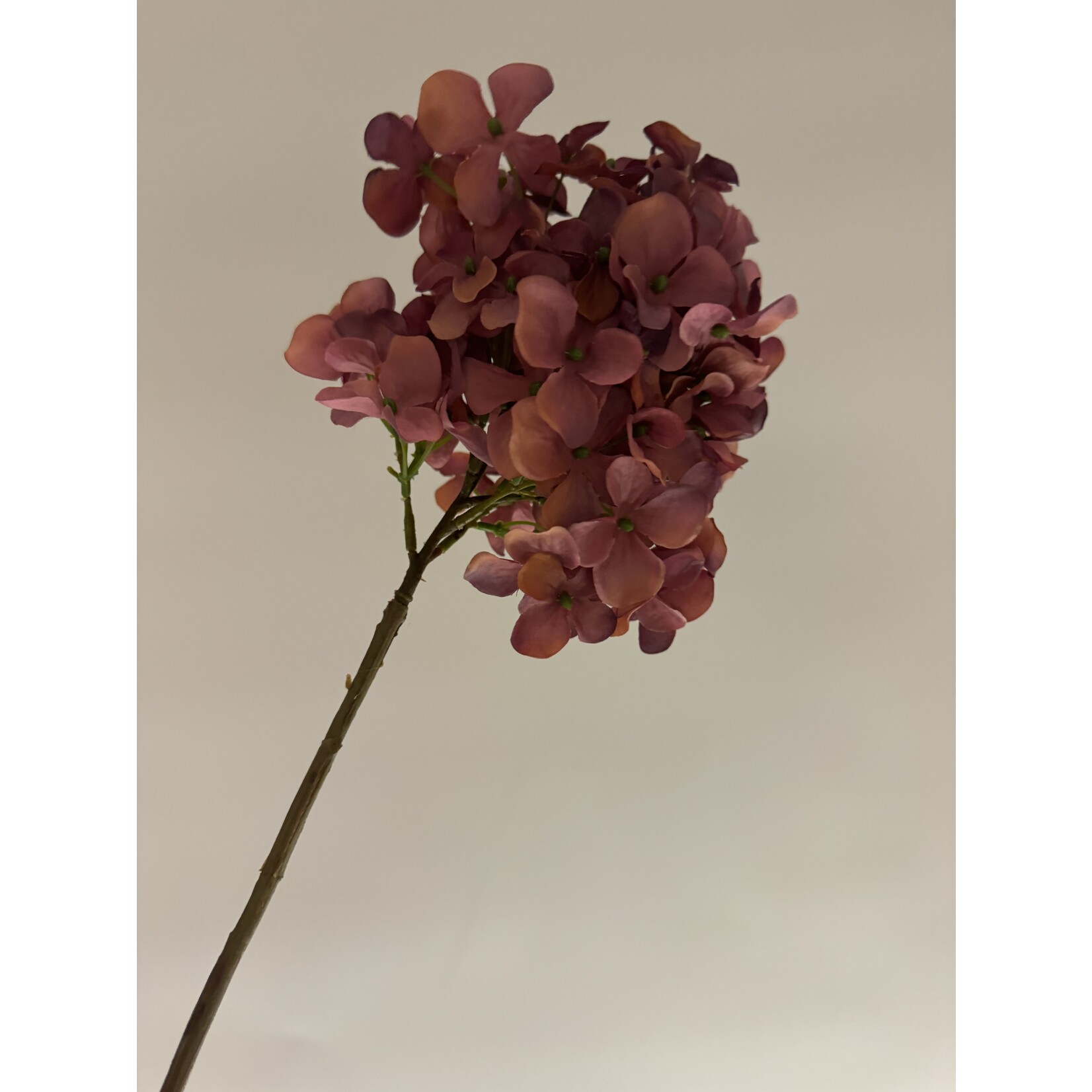 HYDRANGEA  PLUM | MAUVE | 78 CM