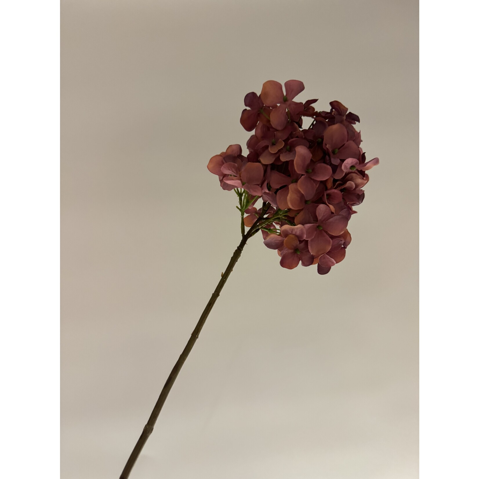 HYDRANGEA  PLUM | MAUVE | 78 CM