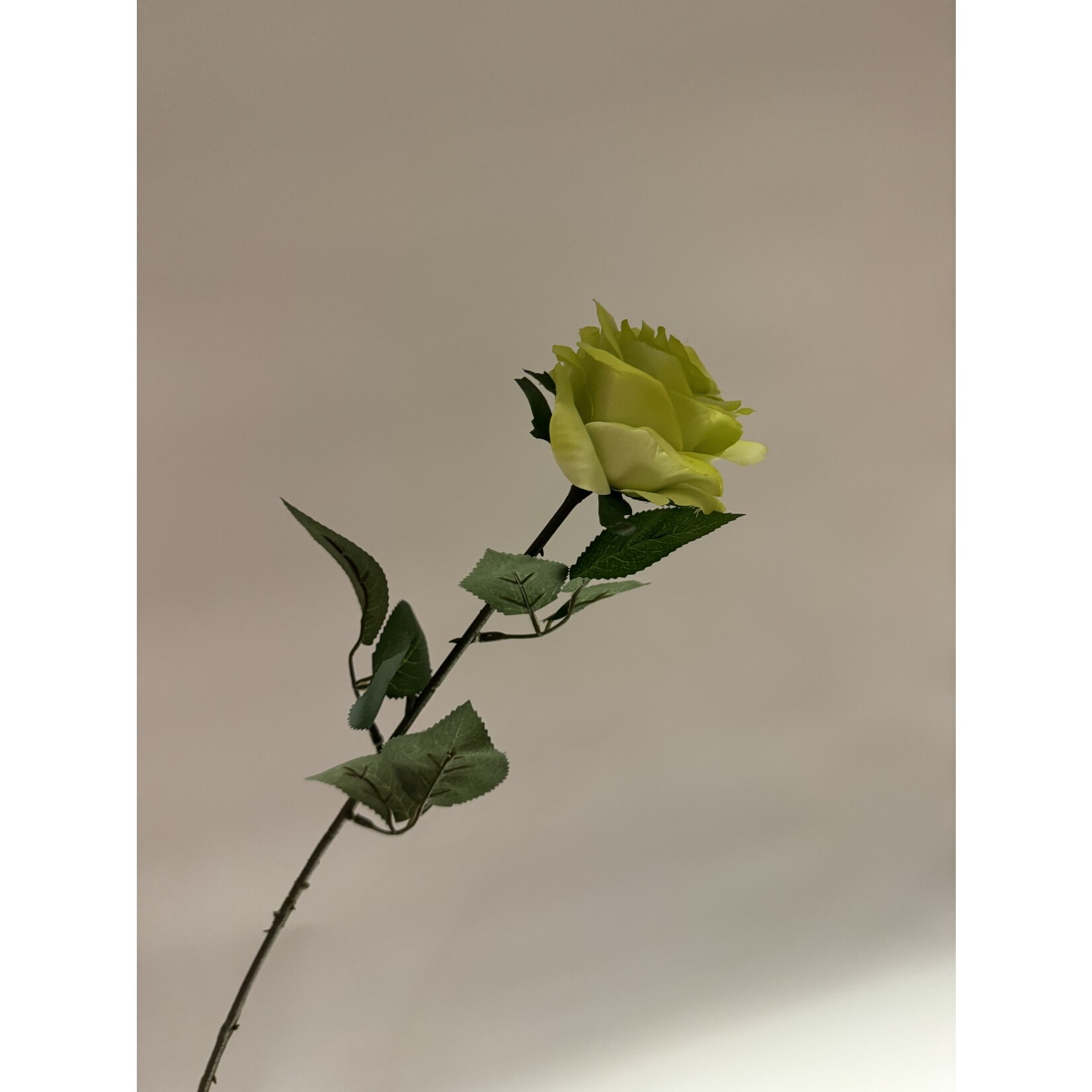 ROSE CAMOUFLAGE | GREEN| 66 CM