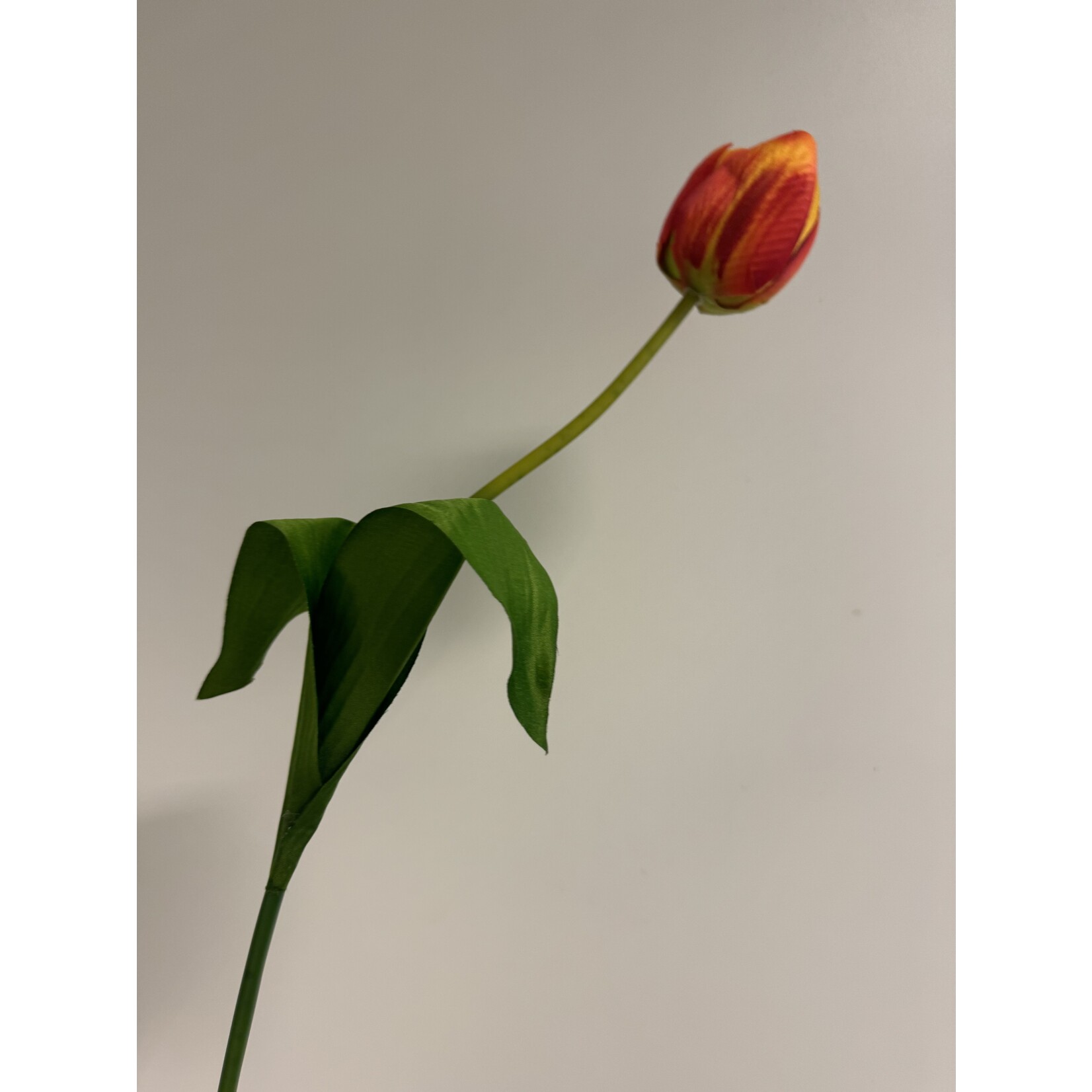 TULIP ORANGE BALLOON| ORANGE | 54 CM