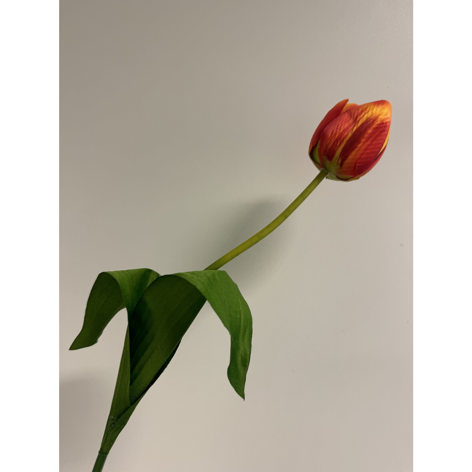 TULIP ORANGE BALLOON| ORANGE | 54 CM