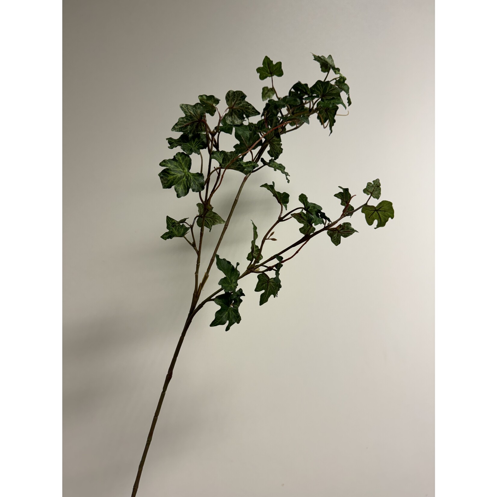KLIM TAK| GROEN/WIT | 62 CM