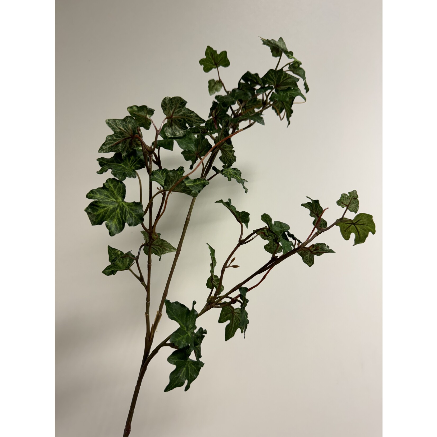 KLIM TAK| GROEN/WIT | 62 CM
