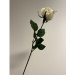 ROSE | WHITE GREEN | 80 CM