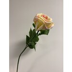 ROSE | SALMON GREEN | 60 CM