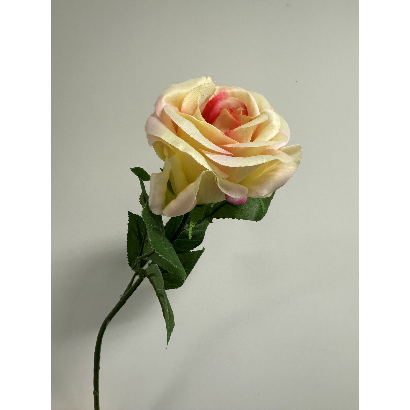 ROOS HARMONY | ZALM GROEN | 60 CM