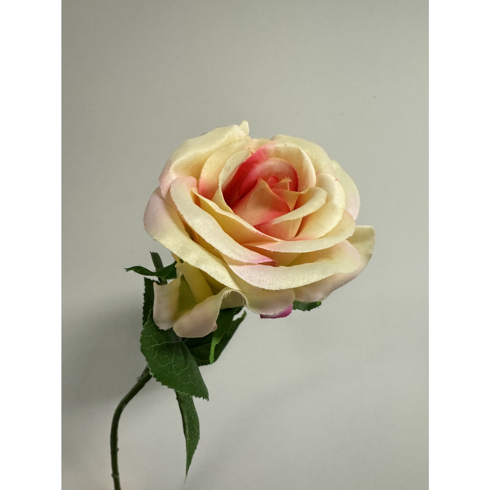 ROOS HARMONY | ZALM GROEN | 60 CM
