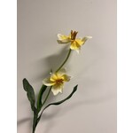 TULP | WIT GEEL | 41 CM