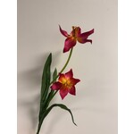 TULP | FUCHSIA | 41 CM