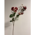 SPRAY ROSE | OLD PINK | 65 CM